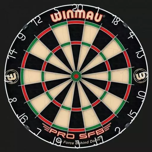 Winmau Pro SFB Bristle Dartboard