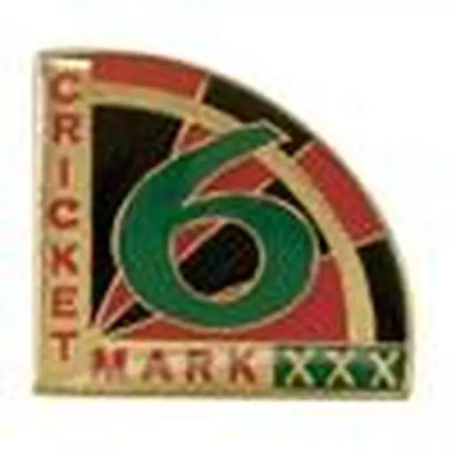 Award Pins - Cricket Mark 6