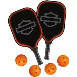 Click here to learn more about the DW (Dart World) Harley Davidson Stealth Pickleball Set .