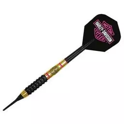 Click here to learn more about the Harley Davidson Evo Brass Soft Tip Darts 18 Gram.
