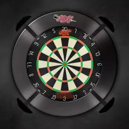 Click here to learn more about the Shot! Darts STADIUM DARTBOARD LIGHTS.